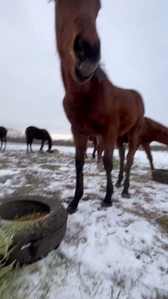 けいこかわいい🥺
#ケイココサージュ 
