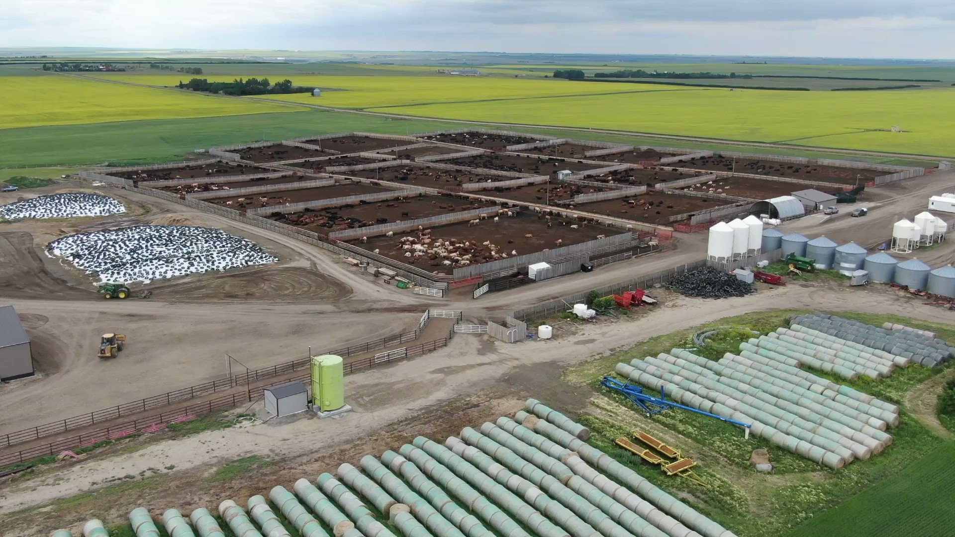 AB Cattle Feeders Association on Twitter "Did you know the total