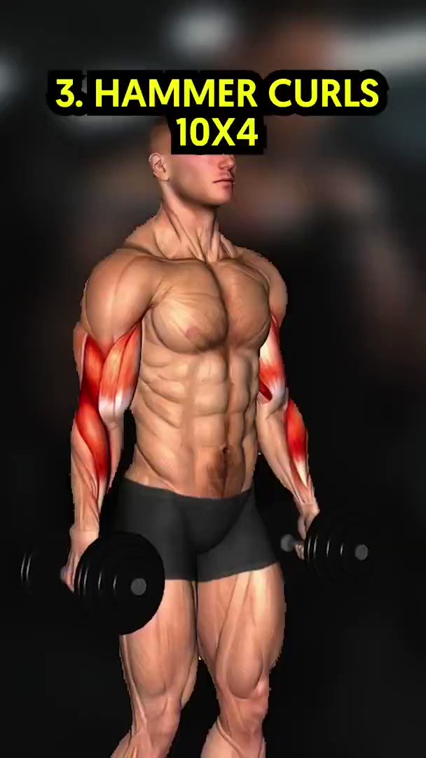 q-on-twitter-rt-cadioarena-3-hammer-curls-10x4