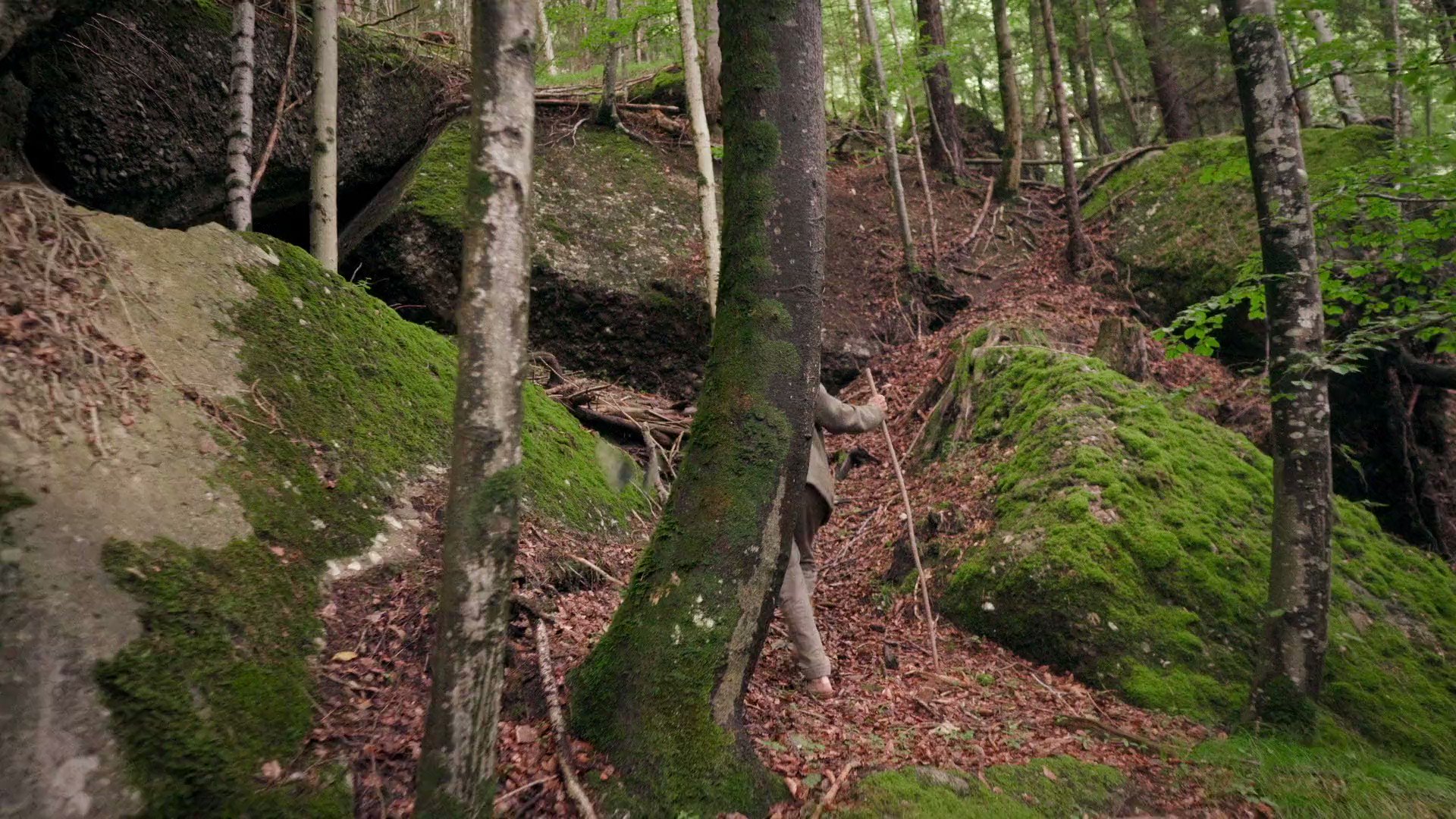 Documentário enquadra mistério da consciência em moldura quase mística –  Virada Psicodélica