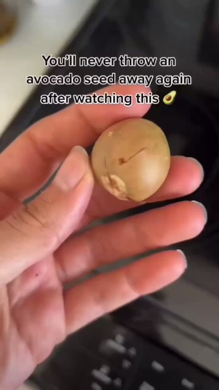 高樹 沙耶 (ikuemiroku) / Twitter