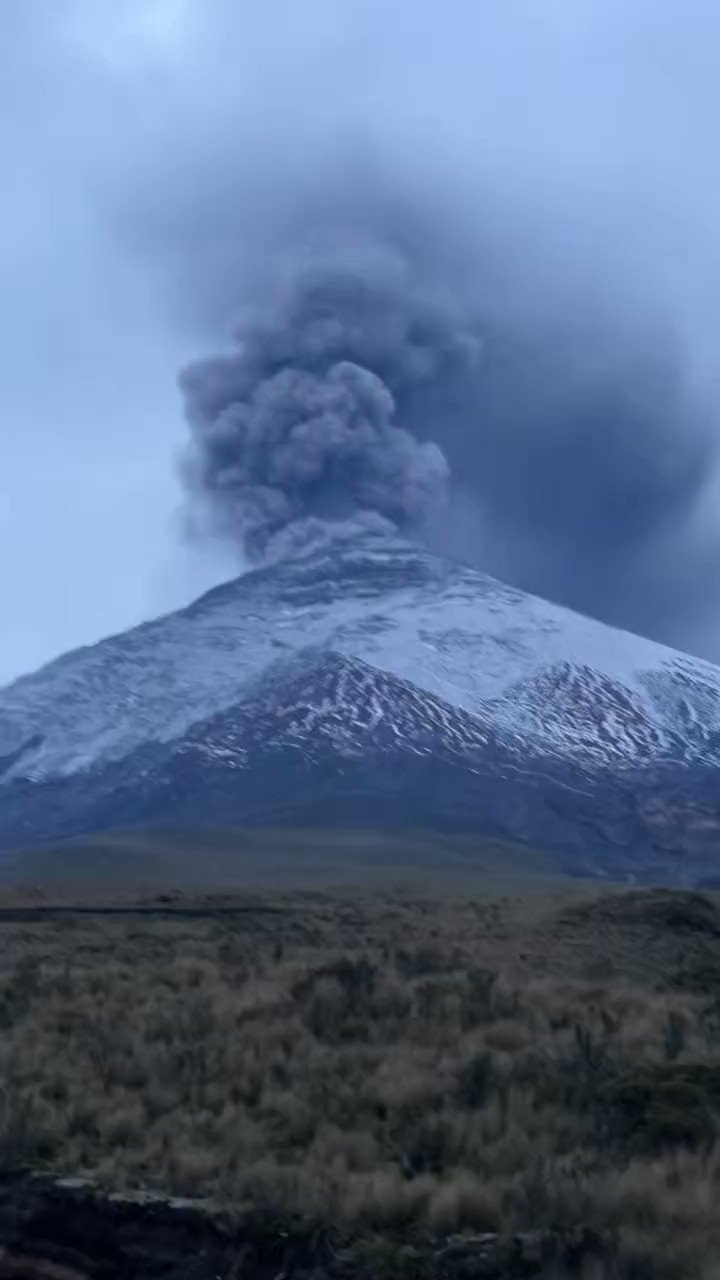Radio Pichincha on Twitter "🔴ATENCIÓN El fotógrafo, Roberto Valdez