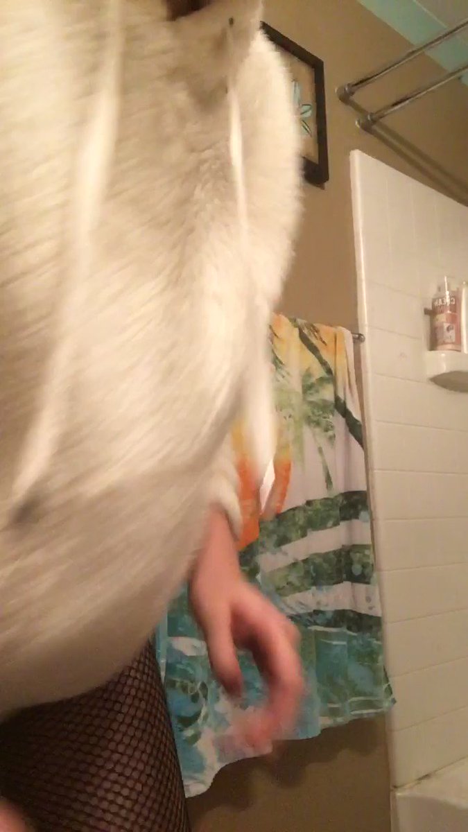 Andrea.Taylor’s pics and videos