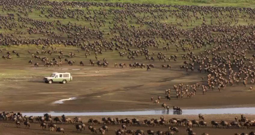 Serengeti Park Bollenson расстояние