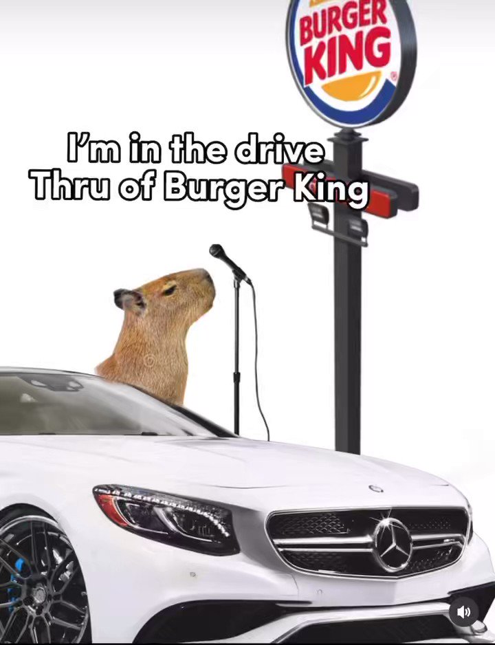 I'm at the drive thru at burger king : r/goodanimemes
