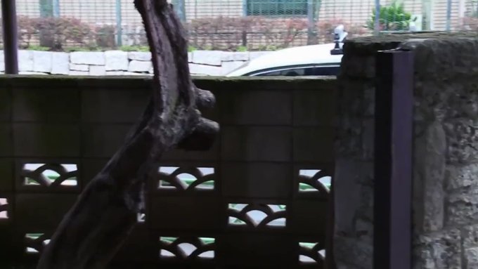 この家の奥様は、永らく主人と交わっていないらしい｡

彼女は待っているようだった｡誰かを｡

そのときだった…。

玄関のチャイムが鳴る。

扉を開けると、そこには…。

一人の配送業者が。 https://t.co/rBIvxzrXoV