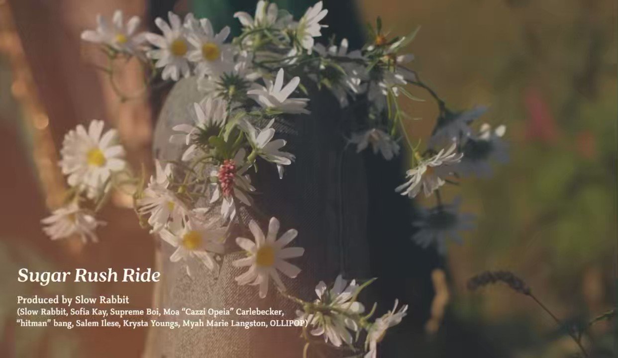 Pudgy Bunny (bunny_pudgy) / Twitter