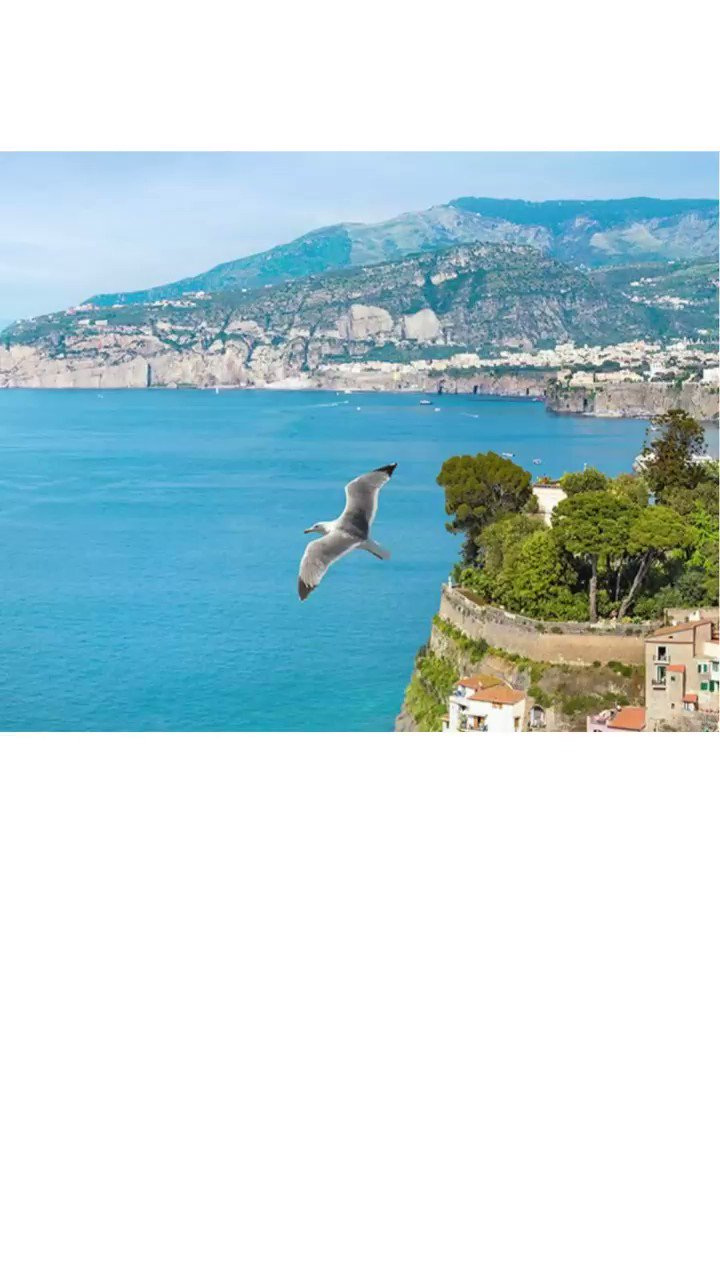 Paolo De Coppi (paolodecoppi) / Twitter