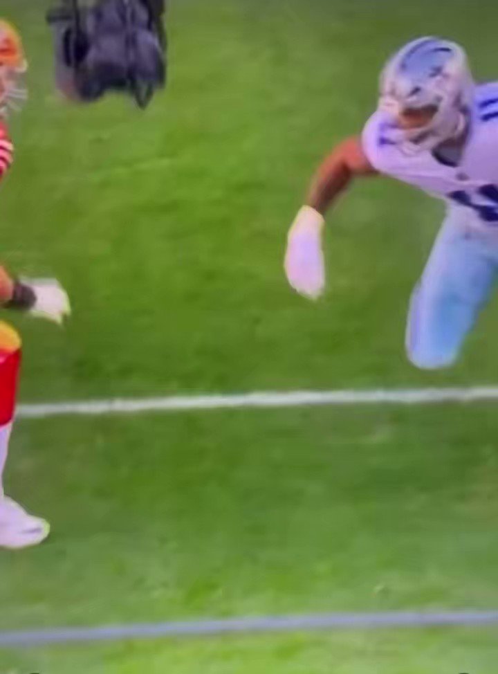 Paulie Walnuts (walnuts_pauli) / Twitter