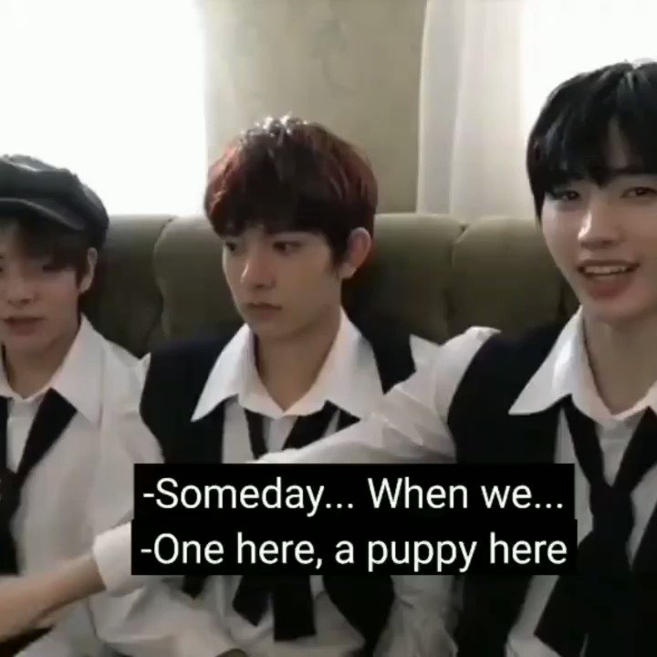 amesoeur on Twitter "sunghoon who loves making cute nicknames for jake