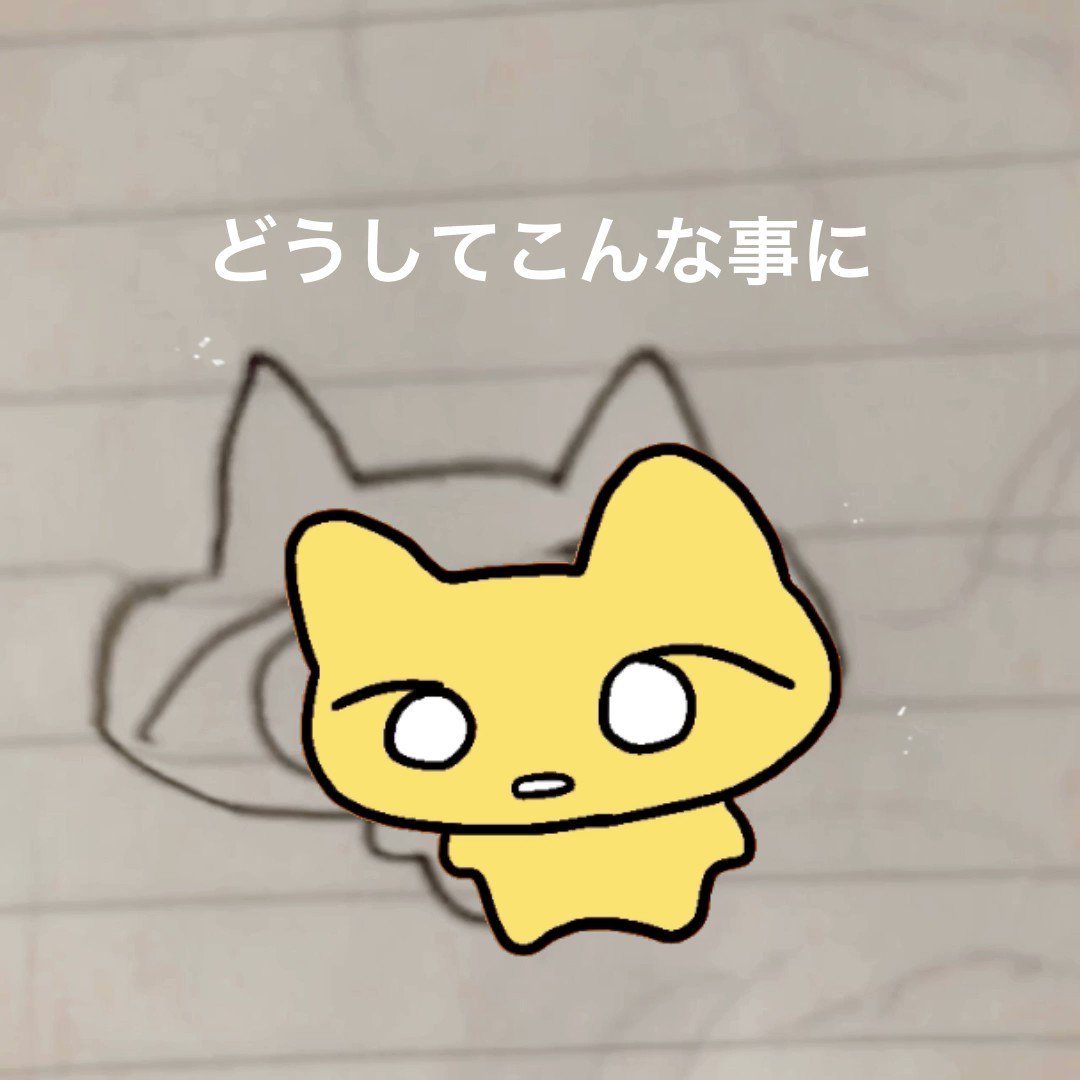 ねこちゃん on X: ねこちゃん on X: