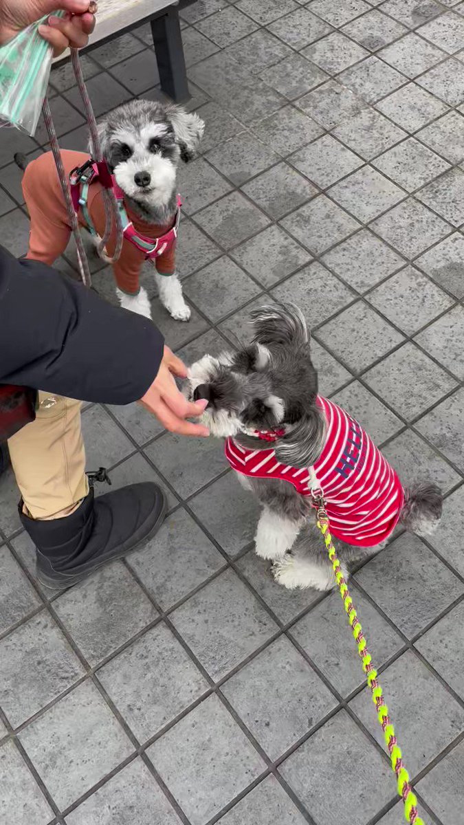 たきちゃん① 0619111832_68537378c937a.jpg