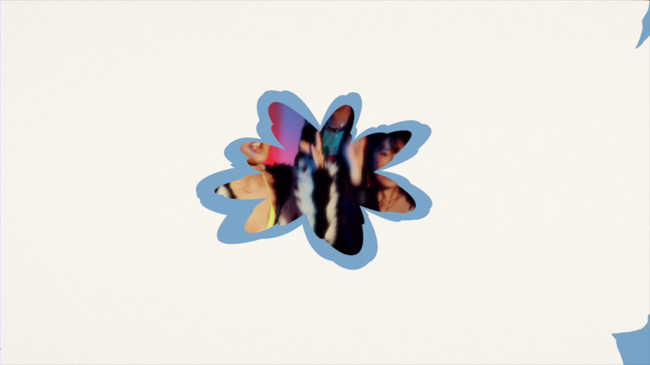 BLOOM VASE (@bloomvase_) / X