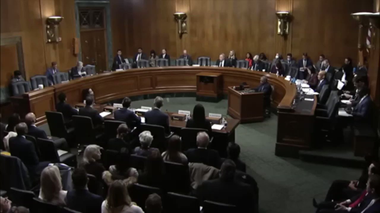 Ari Hoffman on Twitter "CRINGE Biden federal district court nominee
