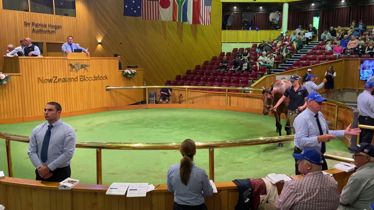 Mailbag Bloodstock (TMBBloodstock) / Twitter