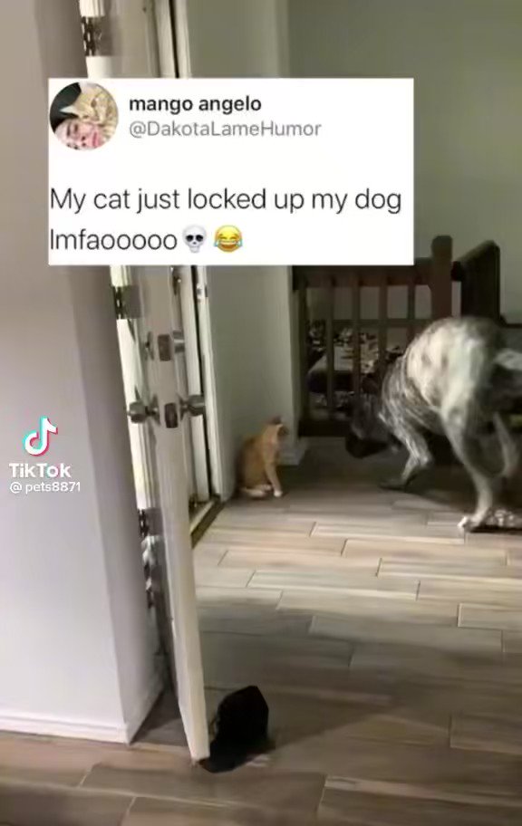 David Koenders (KoendersDavid) / Twitter