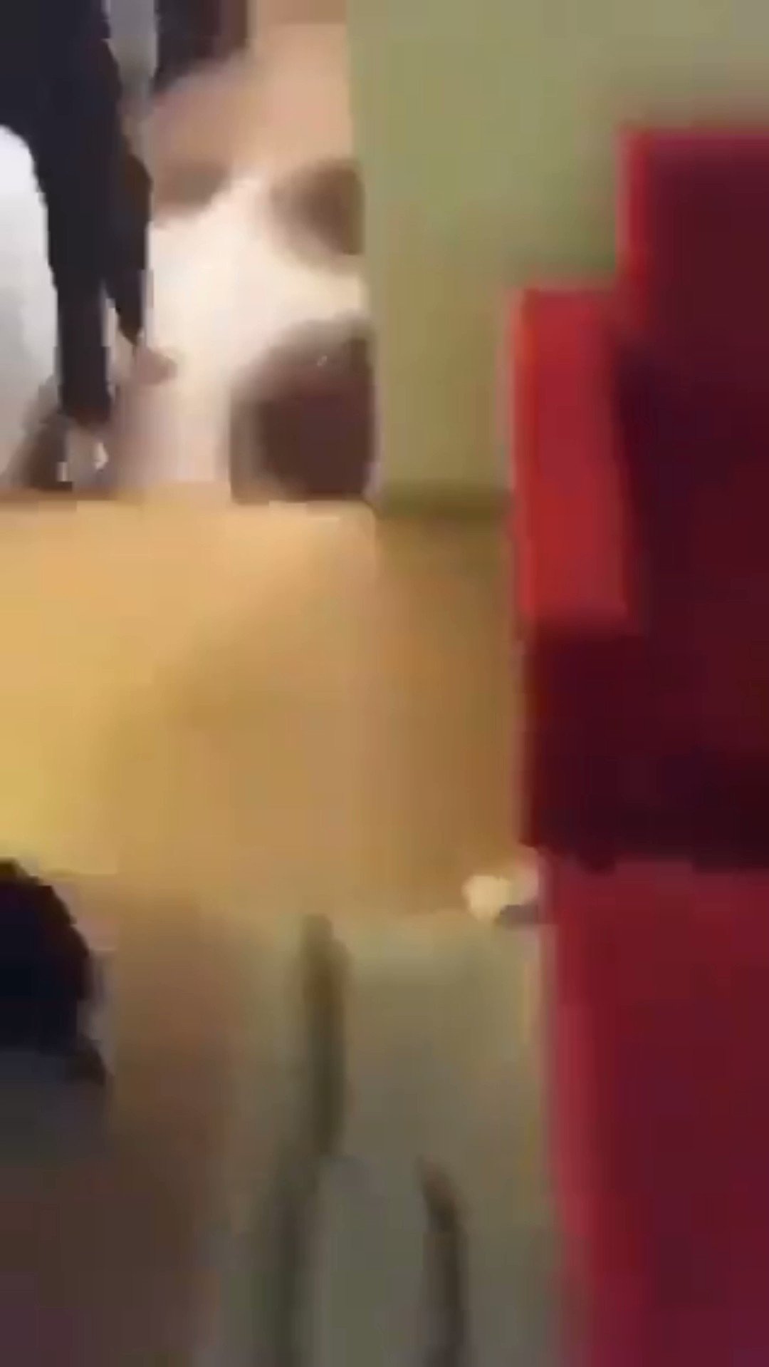 Filiz Ben on X: Porno izle porno sex türk ifşa türk porno ifşa ensest  türbanli üniversiteli kızlar türkifşa ifşa 20lik kız kucakta fena  inliyor türk yerli 🙈 Linnk buu ;; t.coM0j0YNgmsx <-<--