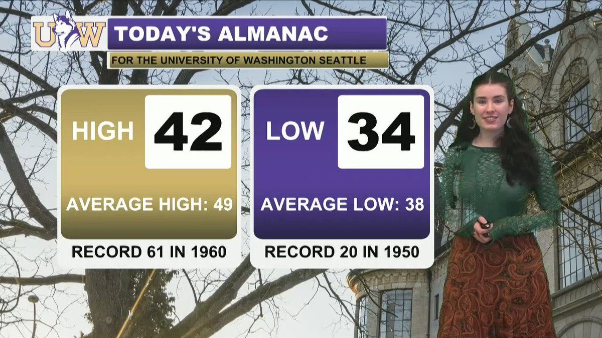 University Of Washington Fake Student Id