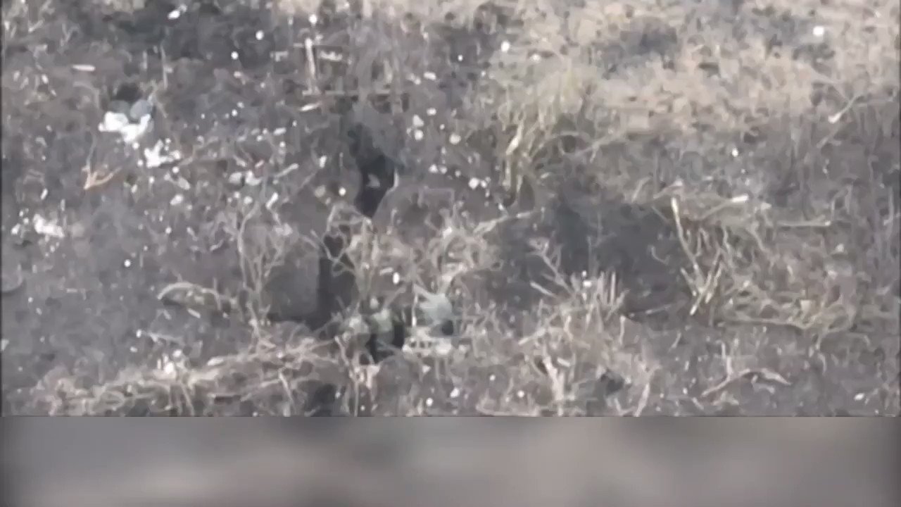 Re: [情報] 情報數則