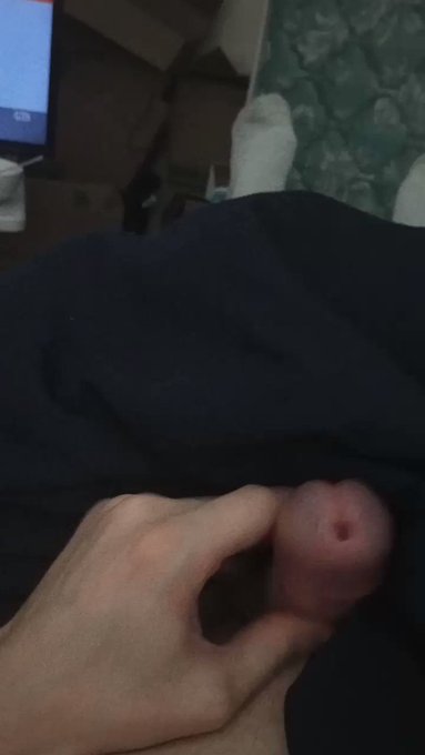 Paws’s pics and videos