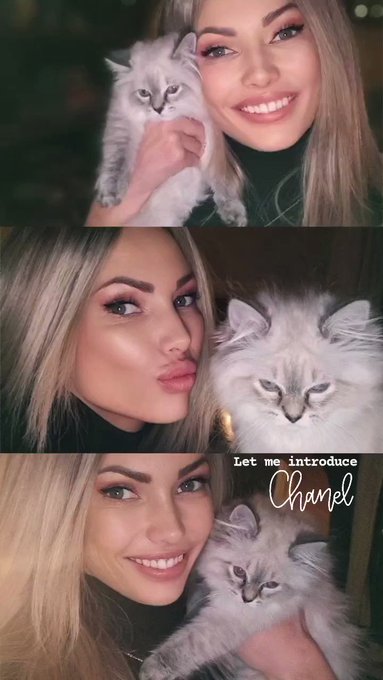 Meet my new family member CHANEL🐈🥰
perfect match with my doggy COCO 
#FeelingGood #animallover # https://t