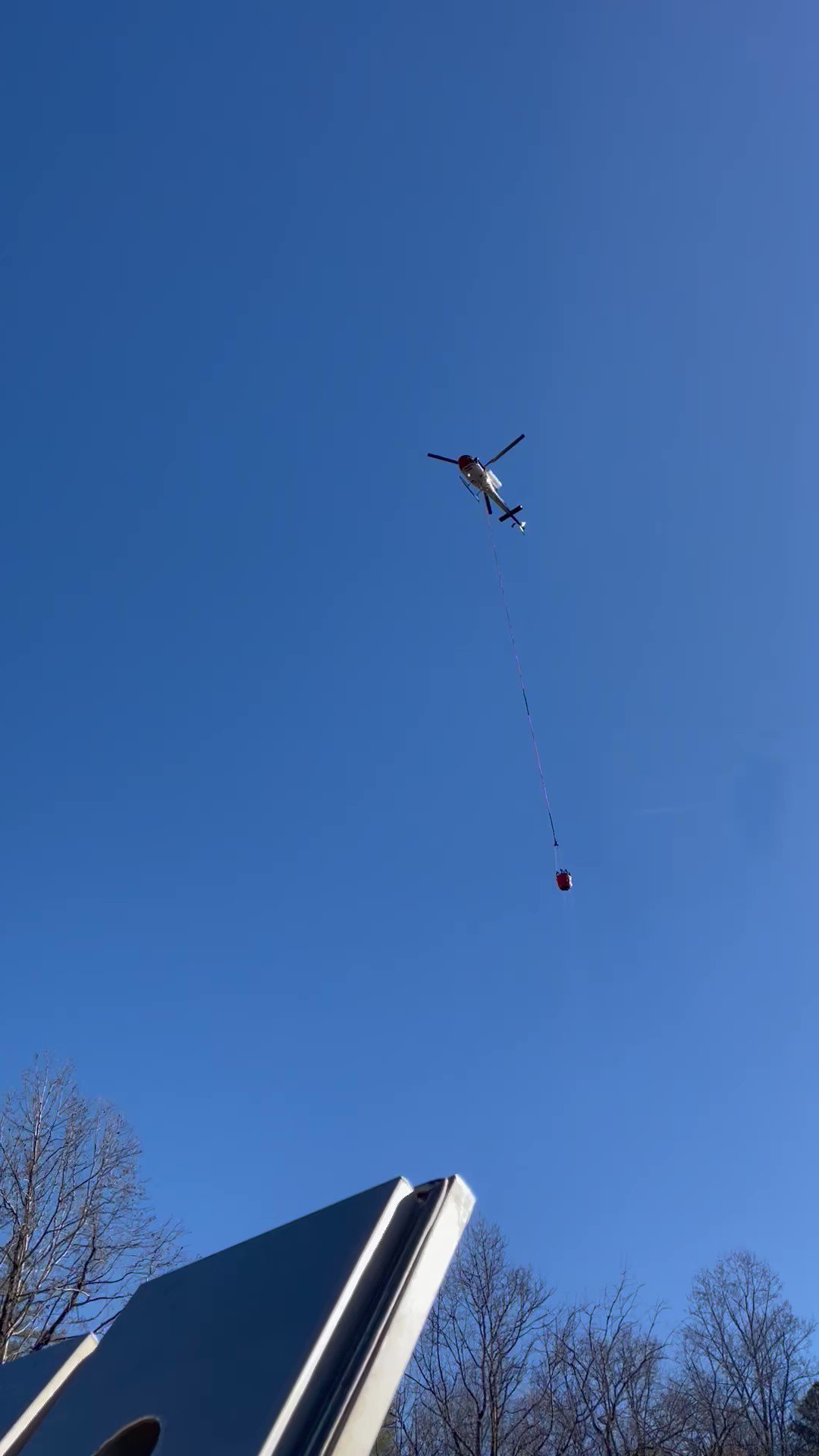 Georgia DNR Wildlife on Twitter: Georgia DNR Wildlife on Twitter: