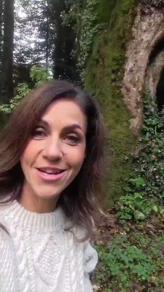 Julia Bradbury🇺🇦 on Twitter "Have you ever noticed that you feel calmer or happier when you are