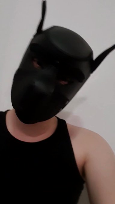 Wif wif! ^^ https://t.co/88XRldm5la