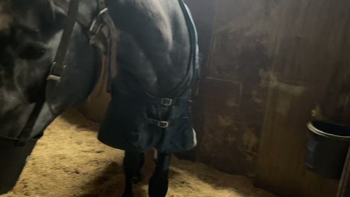 ブルーローズシップ

つまみ食いは良くない🍰
胃腸を悪くしてるのか‼️😅

鋭気を養って、もうひと花 咲かせるのだ‼️💪😊

#YGGオーナーズクラブ 