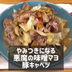 ご飯のおかずにぴったり!やみつき「味噌マヨ豚キャベツ」。