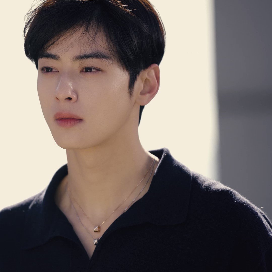 Cha Eun Woo stars in the Maison's latest Liens campaign