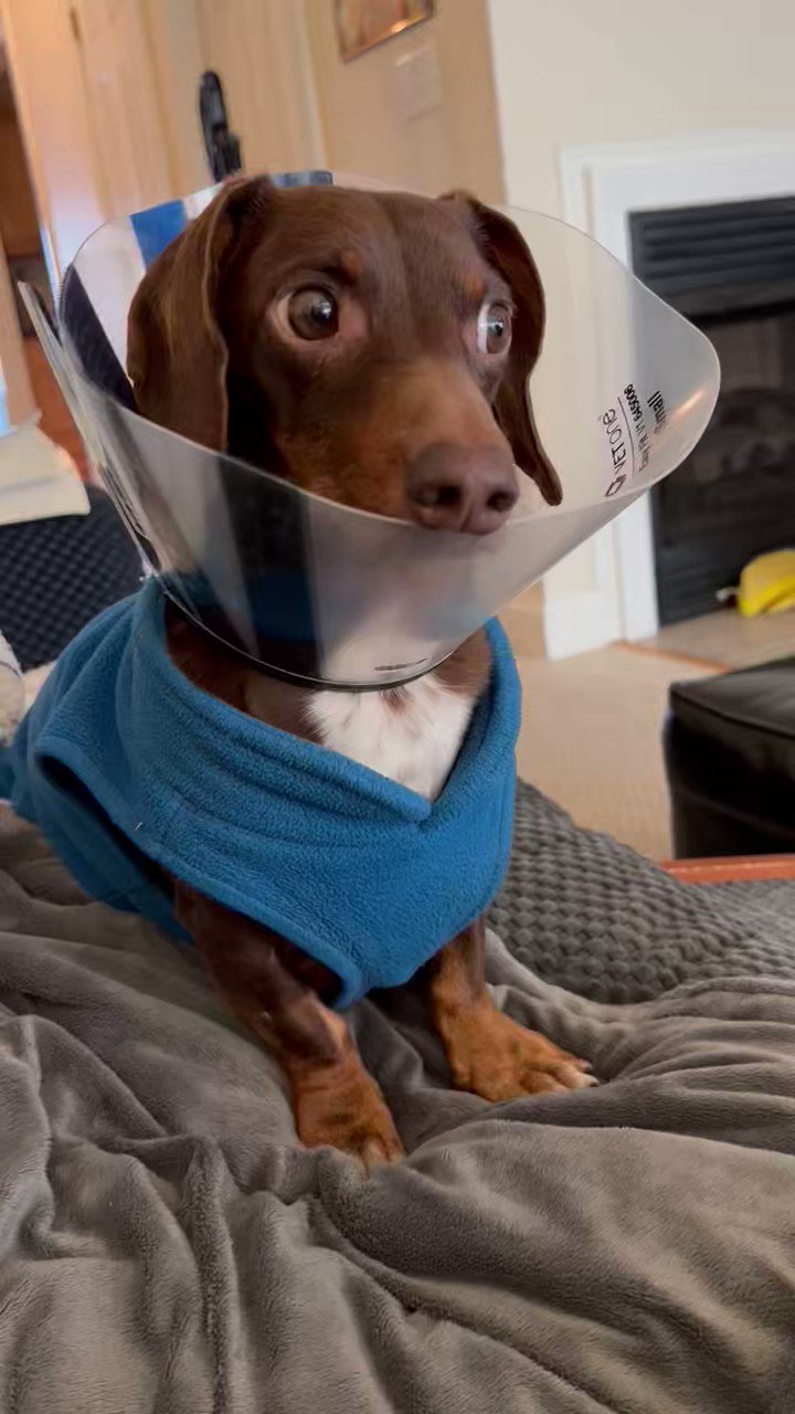 Green Leaf Geek (greenleafgeek) / Twitter