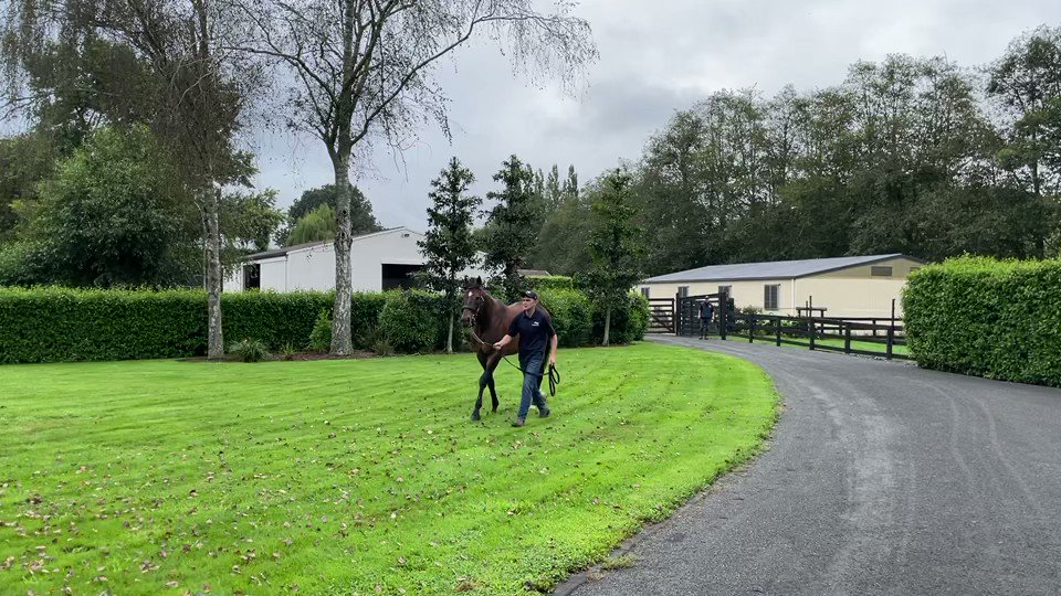 フィニフティ、ハンベルジャイトのお兄ちゃん！！🥺🫶 