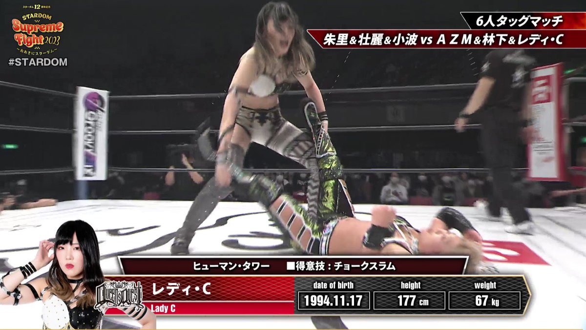 激安先着 STARDOM スターダム VIP席 特典 パネルスタンド 広島