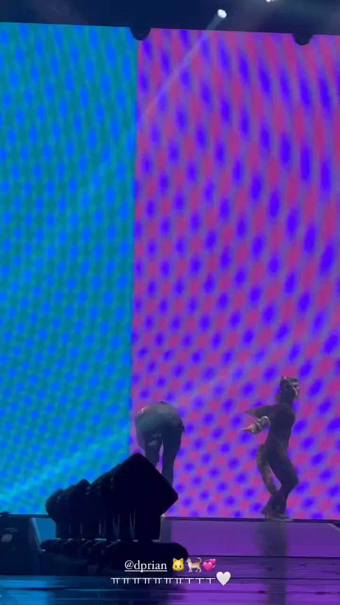 DPR IAN archive on X: #DPRIAN - Scaredy Cat (2021) / X