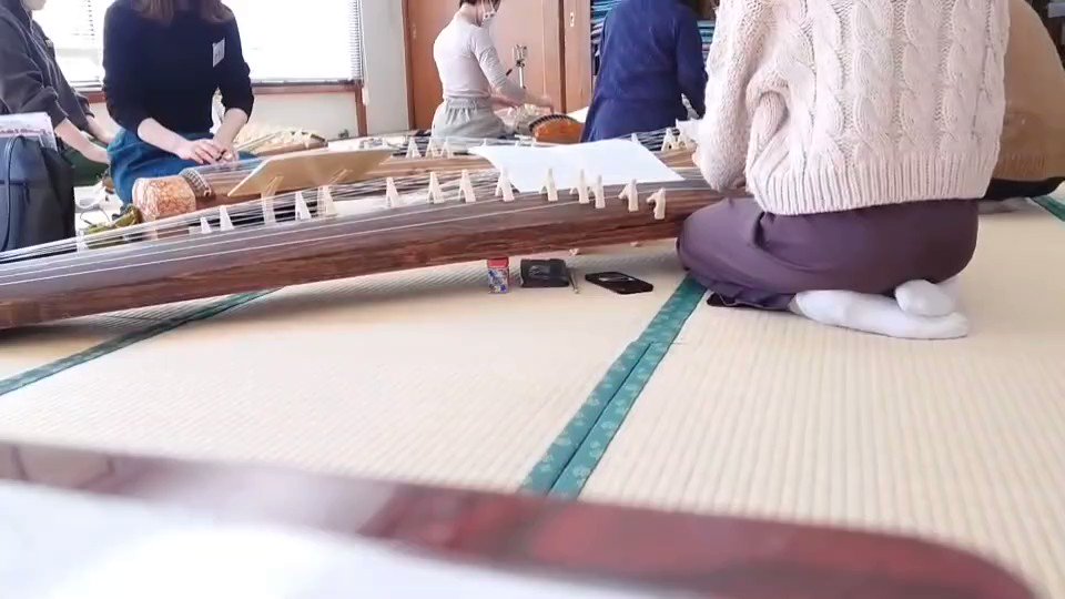 箏 関東手渡し可 hodajzdravo.ba