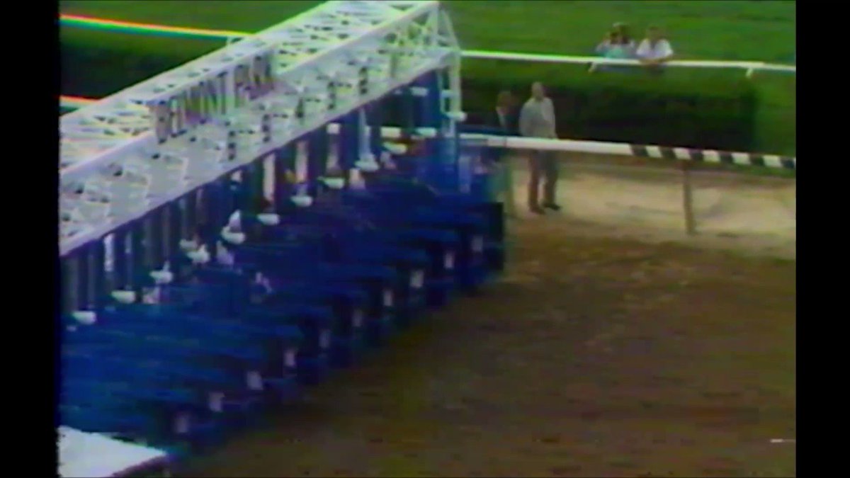 History of Horse Racing on Twitter "1988 Belmont Stakes Risen Star"