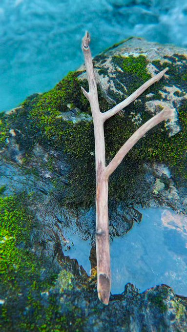 Everyday is truly a blessing #PraiseFreyja #Rune #Fehu https://t.co/3ltUplSKKW