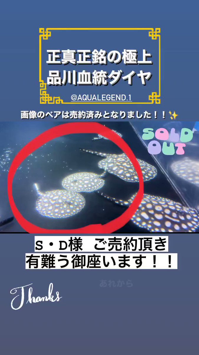 セール】 ご売約済です パンツ - education.semel.ucla.edu