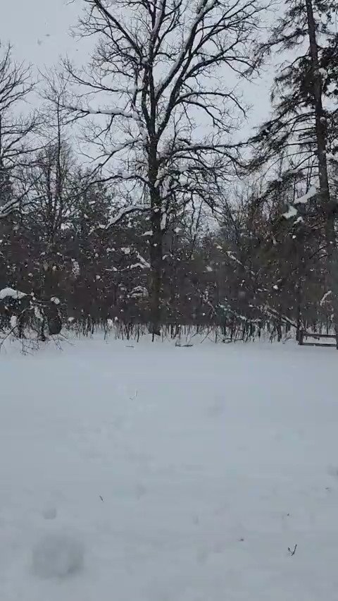Sleet & Snow in Otter Tail County, Minnesota

VC: @OtterTailCounty 

#snowfall #snow #OtterTailCounty #Weather #climate #viral https://t.co/YOXRWYC8aD