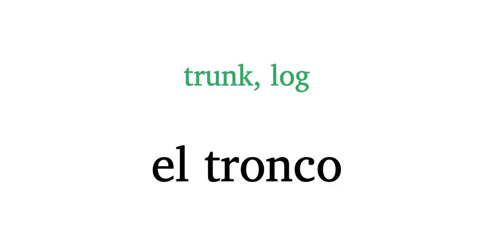 Learn Spanish Words on Twitter "el tronco — trunk, log spanish spain
