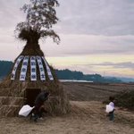 ツイートに含まれる画像