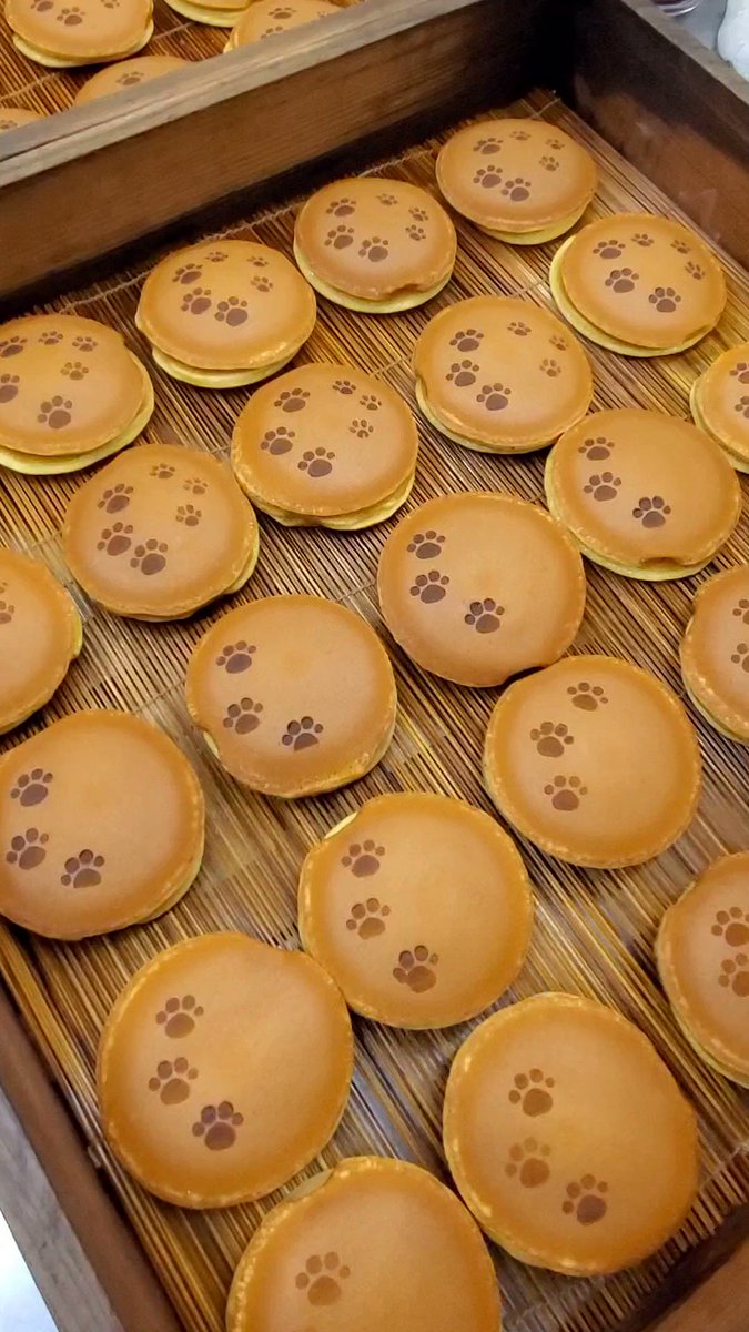 今日だけは子猫も！肉球の日限定、猫の足跡つきのどら焼き！
