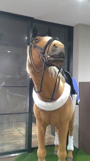 メイケイエール 使用済みカード オマケ付き タイトルホルダー GALLOP