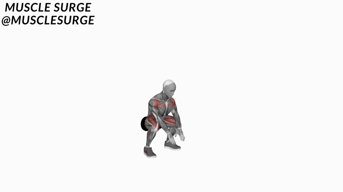 Muscle Surge On Twitter Best Bodyweight Exercises To Build Muscle And muscle-surge-on-twitter-best-bodyweight-exercises-to-build-muscle-and