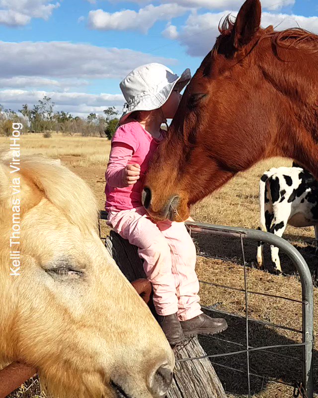 Funniest Family Moments on Twitter "Absolutely adorable she is so