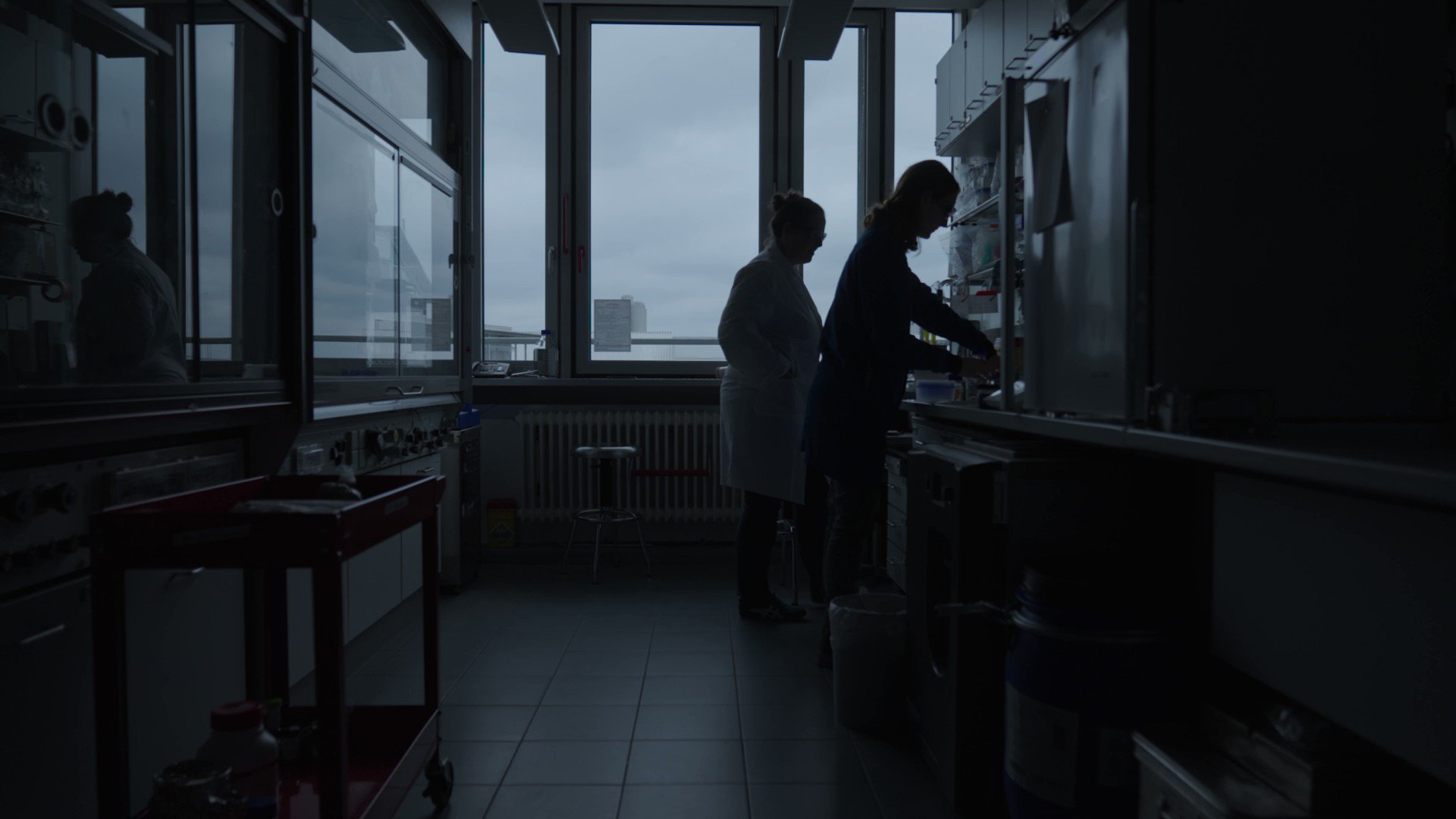 Universität München (LMU_Muenchen) / Twitter