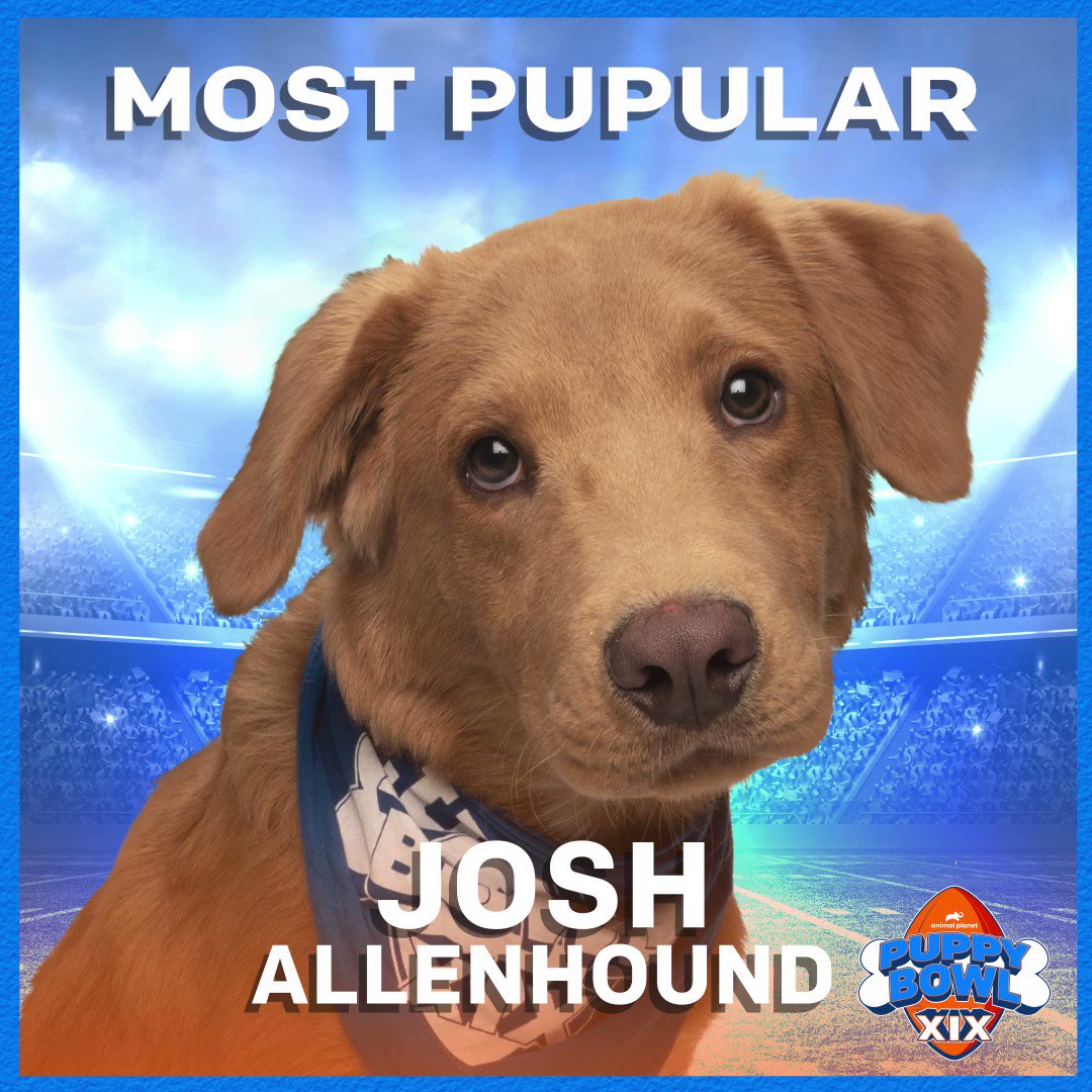 Animal Planet on Twitter: Animal Planet on Twitter: