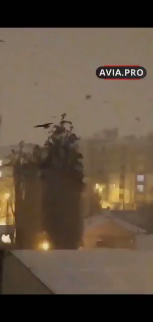 RT @DUEFA1: A day before earthquake in Turkey. Watch how birds reacted to the oncoming quake by Flocking on trees. https://t.co/a36lCfXyaW