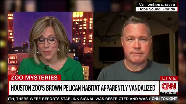 alisyn-camerota-on-twitter-how-does-a-female-gibbon-who-s-been-alone